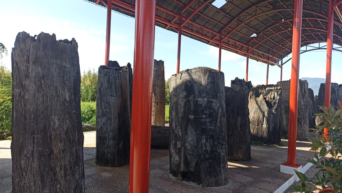 Kayu Peninggalan Belanda